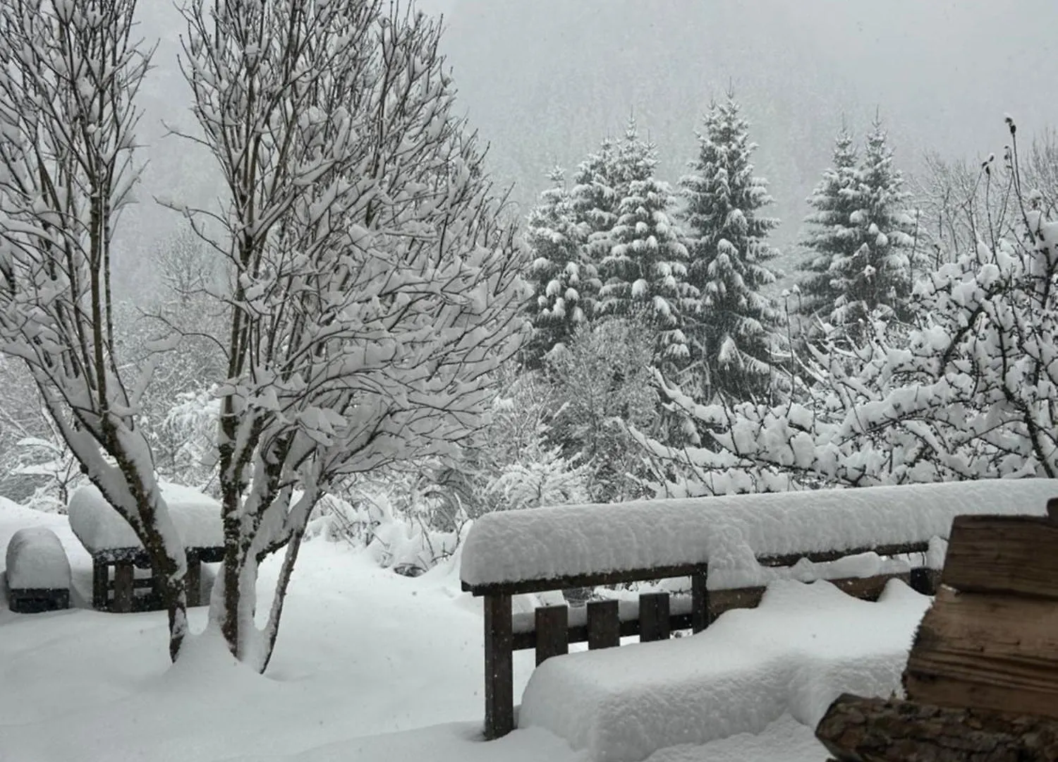 Le Chalet Leila Manigod
